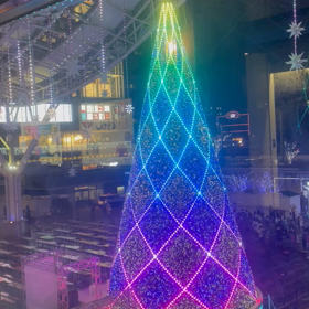 イルミネーション点灯の画像