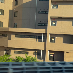 どこもかしこも〜の画像