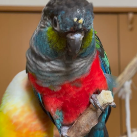 僕の頭にの画像