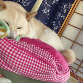 お喋りが好きなんで＾＾の画像