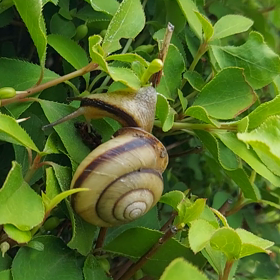 雨上がりの風景(*^^*)の画像