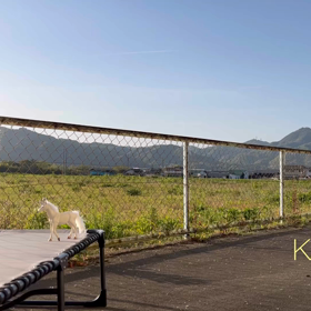 癒しスペース作成完了しました✨️✨KANAYA Vortexの画像