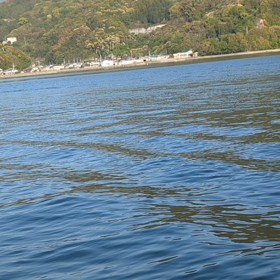 第6おさかな丸の画像