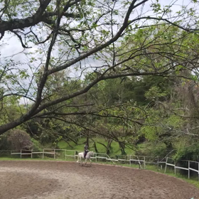 新緑の季節の画像