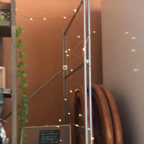 キラキラ♪の画像