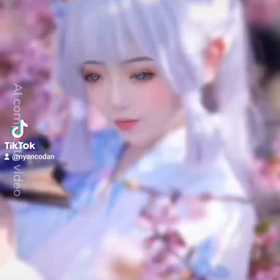 #ニャン子#Rosefamily #ニャンデジ かわゆしの画像