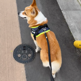 おかあたんと一緒☆の画像