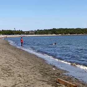 海の公園の画像