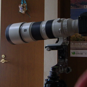 中国製LeofotoのPG-1というジンバル雲台の試運転？の画像