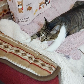 今日の一枚ꕤ*.゜愛の画像