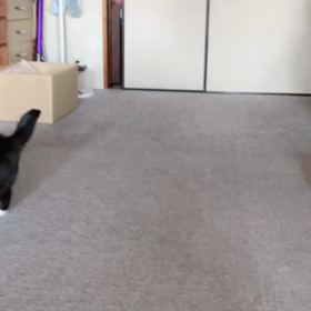 なんの用？の画像