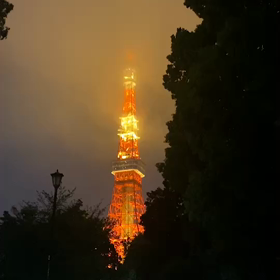 明日ここからの画像