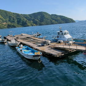 西陽に映えますの画像