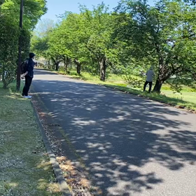 5/3 リレー選考会⑨の画像