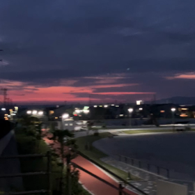 新しく出来たお友達の画像