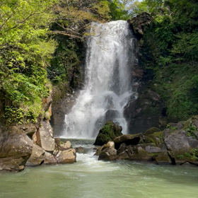 京都新聞杯の画像