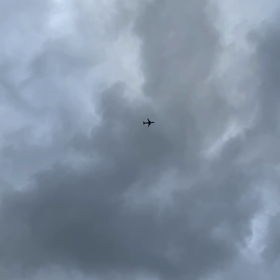 お伝え出来ないのが残念。の画像