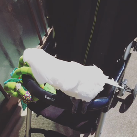 ぽんた 日光浴の画像