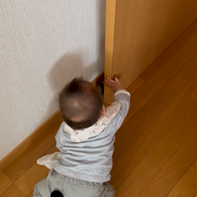 （10m3d）息子 扉を閉めることを覚えるの画像