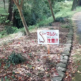 やはり。。(>_<)の画像