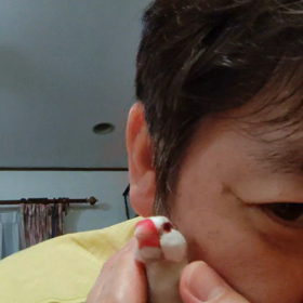 写真、鳥忘れていたの画像