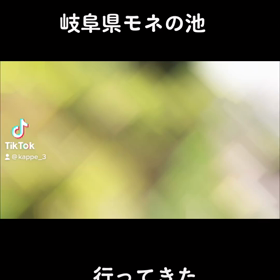 モネの池への画像