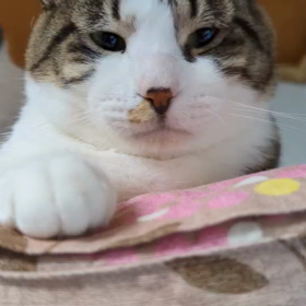 恐ろしい事件の画像