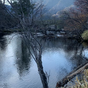 湯本温泉-Yumoto Hot spring-の画像