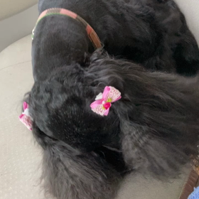 早く終わったの画像