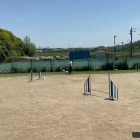 うたちゃんからのお便りですの画像