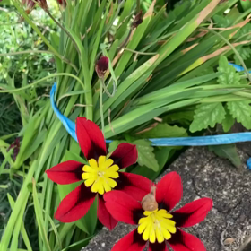 介護記録２７０（睡眠薬）の画像