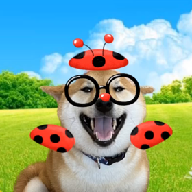 てんとう虫になっちゃった①の画像