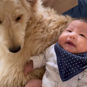我が家語録の画像