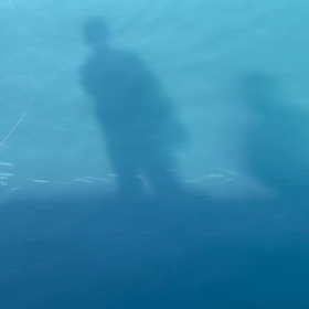 久しぶりの雑賀崎の画像