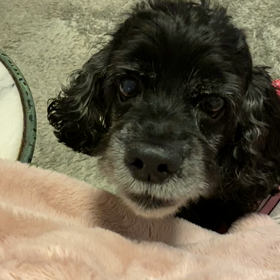 穏やかな日常の画像