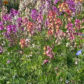 受け取る覚悟のある方へ①の画像