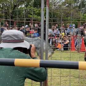 ヤギオーラセー第一回みほそまつりの画像