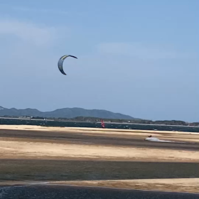 動画は正直の画像