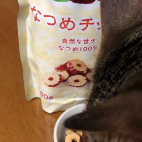 娘の蕁麻疹と病院。業スーのなつめチップスとにゃん。の画像