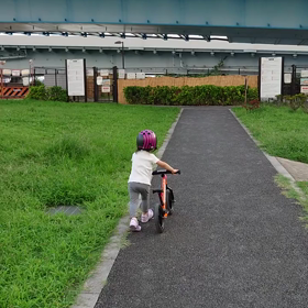 動画サイズ大の画像