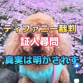 ティファニーちゃん事件のその後詳細の画像
