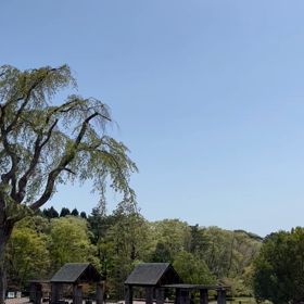 暖かいというより暑いくらい✨の画像