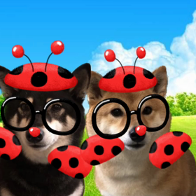 てんとう虫になっちゃった②の画像