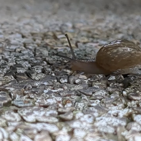 #最近撮った写真はの画像