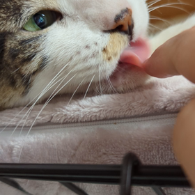 顔が優しくなってるの画像