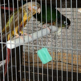 前言撤回‼️の画像