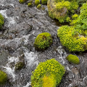 その後。の画像
