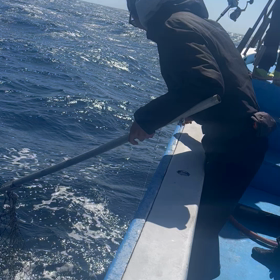 シケ後ブレイクの画像