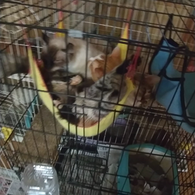 意味ないじゃ~んの画像