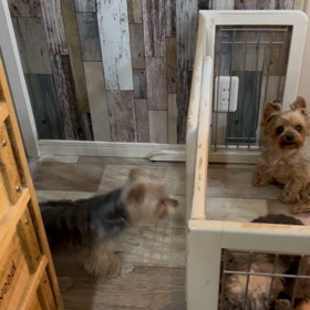 ブロックするわよー‼️の画像